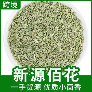 Fennel Seed (Foeniculum vulgare) — Dried Food-Herb Spice for Braising & Tea, 500g Bulk