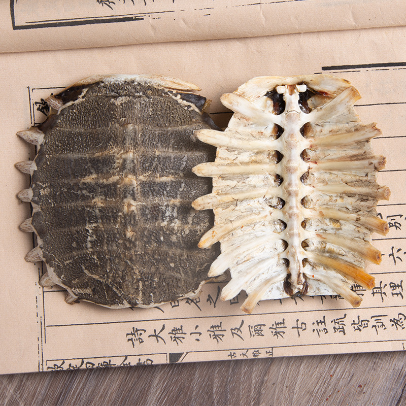 Whole Turtle Shell Bie Jia 鳖甲 Dried Chinese Herbal Material for Decoction or Grinding 1 Piece 11-12 cm - Image 3