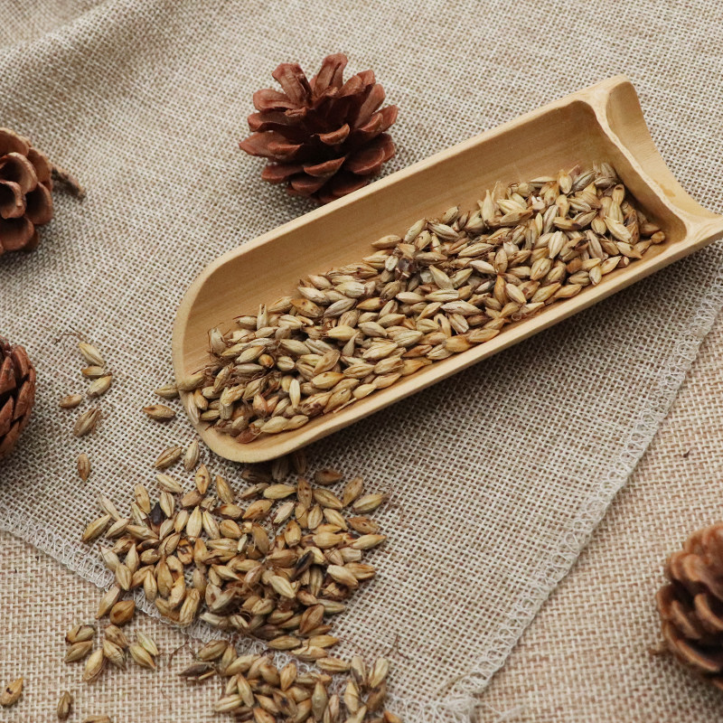 Fried Malt Germinated Barley Sprout Mai Ya 500g Dried Herb for Herbal Tea and Decoction - Image 4