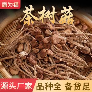 Tea Tree Mushroom (Agrocybe aegerita) — Dried Unopened Caps Soup Mushroom 500g