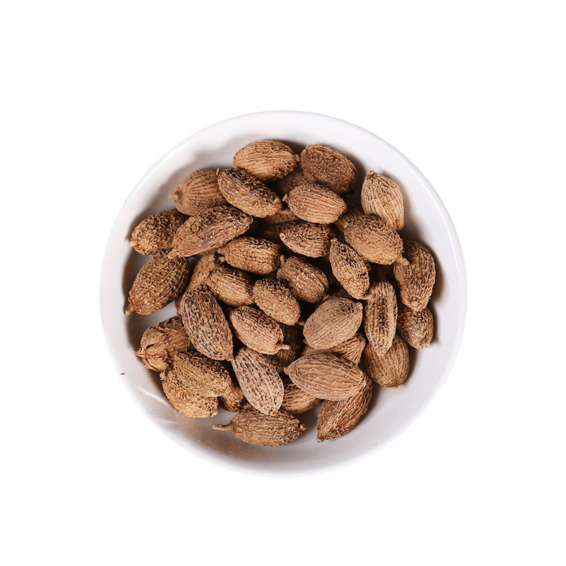 Wild Amomum Fruit Sha Ren 砂仁 Dried TCM Herb for Tea and Cooking 500g - Image 5