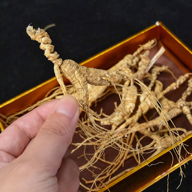 Dried Forest Ginseng Roots Sun Dried Jilin Changbai Mountain 50g Gift Box - Image 3