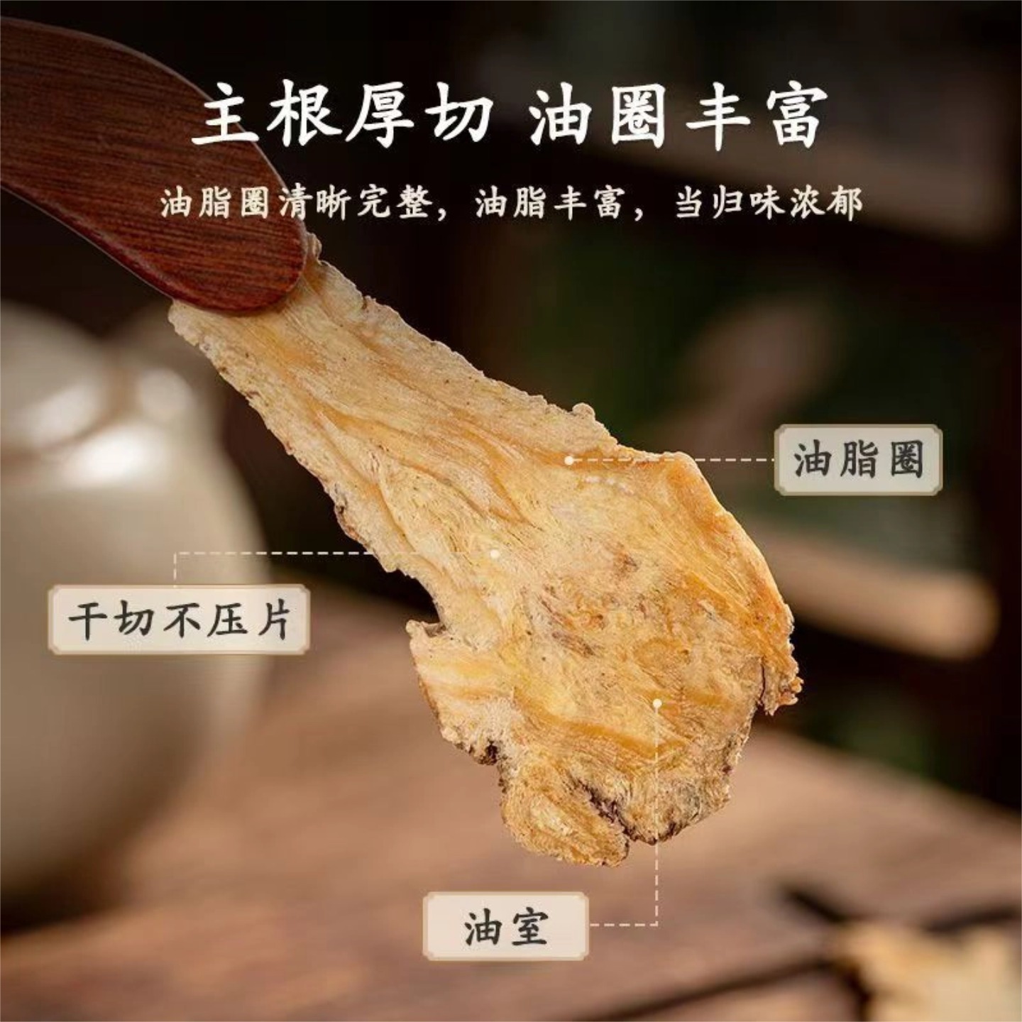 Dried Angelica Root Head Slices Large Thick Texture Selected Dong Gui Tou Pian for Herbal Soups and Decoctions - Image 2