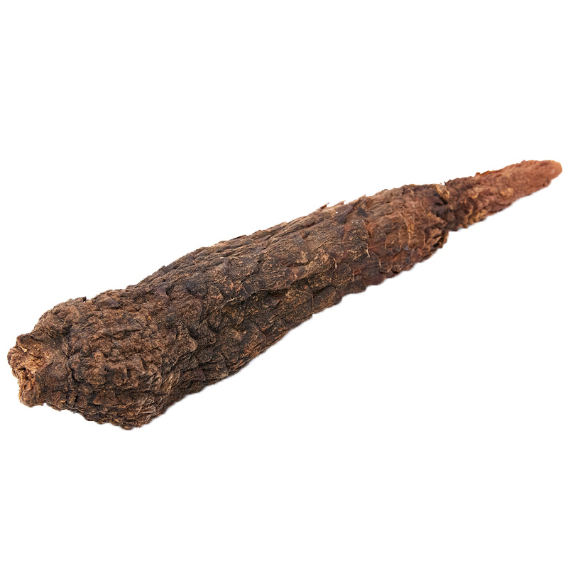 Whole Dried Cistanche Root 500g Rou Cong Rong for Tea Soup and Wine Soaking - Image 5