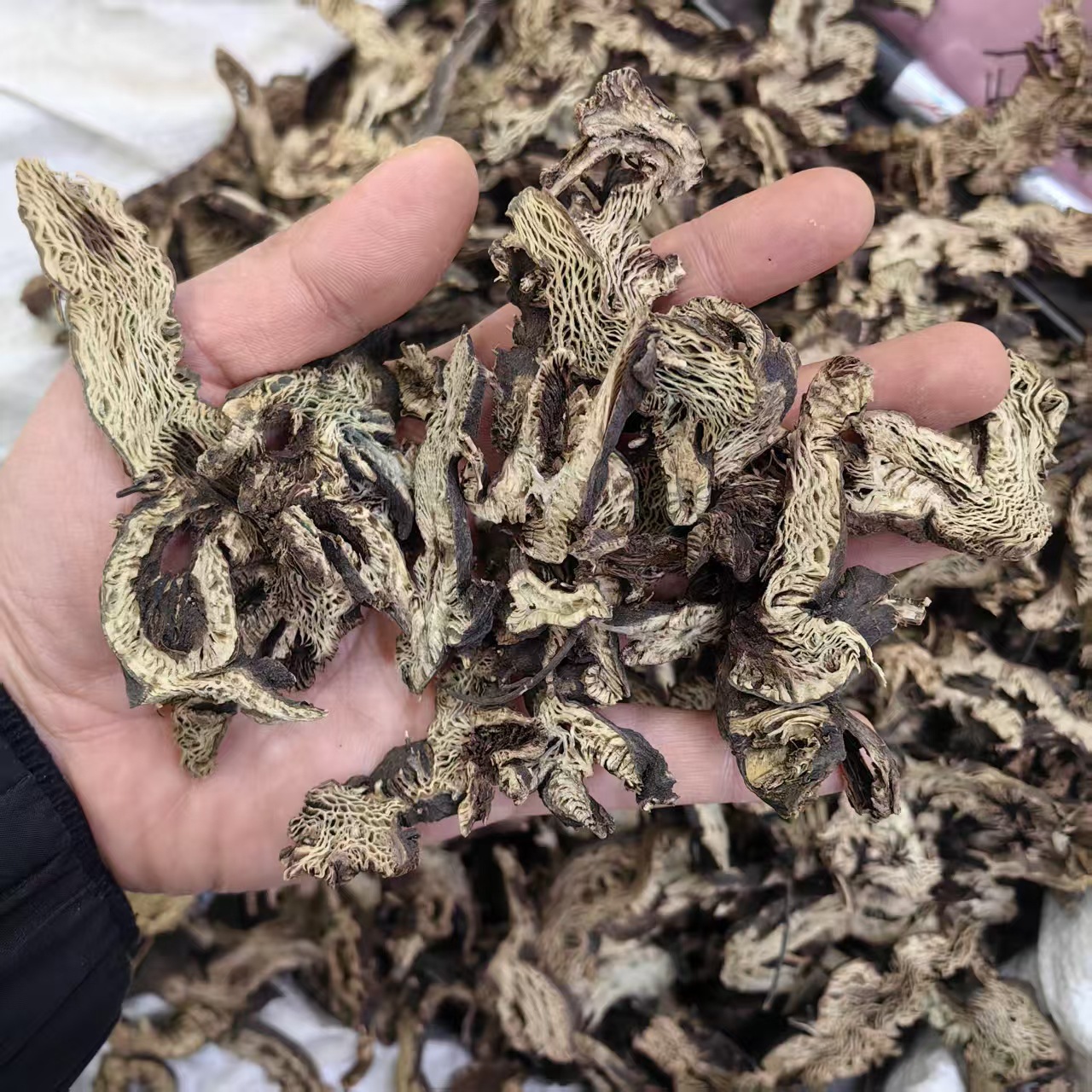 Northeast Cimicifuga Rhizome Slices Sheng Ma 500g Sulfur-Free Dried Herb for Decoction and Powder - Image 2