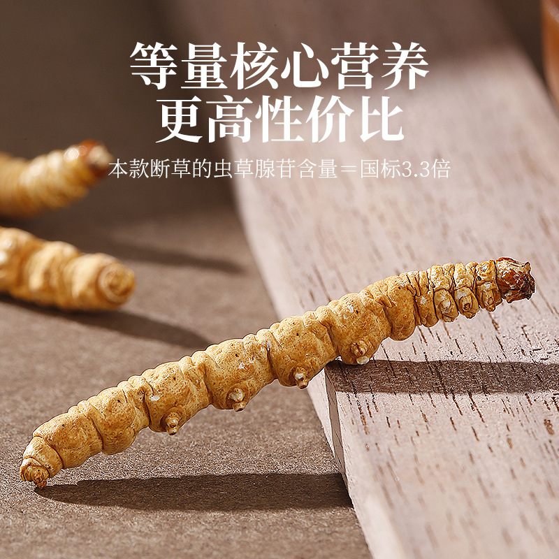 Dried Cordyceps Sinensis Broken Stems 1g Box Wild Harvested Tibetan Plateau Cordyceps for Traditional Soup and Decoction - Image 2