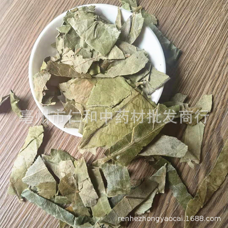 Dried Loquat Leaf Pi Pa Ye 枇杷叶 Traditional Chinese Herb for Herbal Tea and Decoction Sold by Weight - Image 4