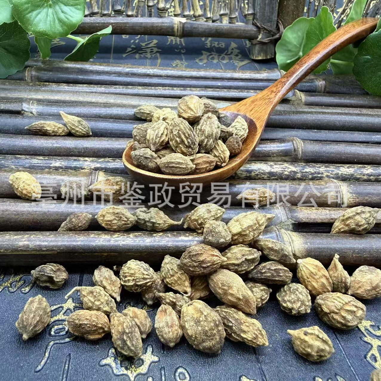 Yi Zhi Ren Dried益智仁 500g Traditional Chinese Herb for Decoction and Culinary Use - Image 3