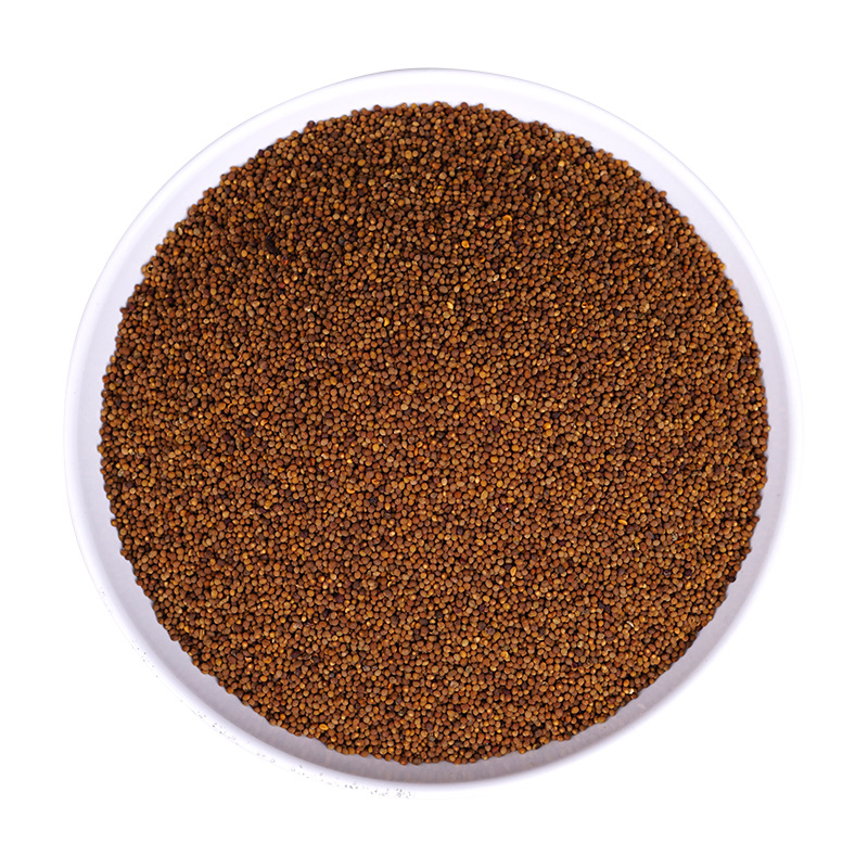 Tu Si Zi (Cuscuta chinensis) — Dried Food Herb Seeds, Washed & Unsulfured, 500g - Image 5