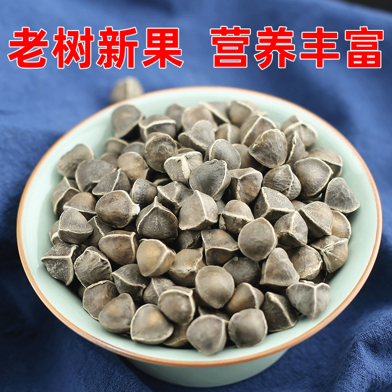 Moringa Seeds La Mu Zi Large Grade Natural Sun Dried 500g Bulk Herbal Seeds - Image 2