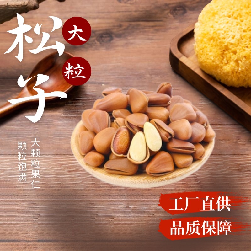 Pine Nut Kernels Song Zi Ren Shelled Ready to Eat Snack 500g - Image 3