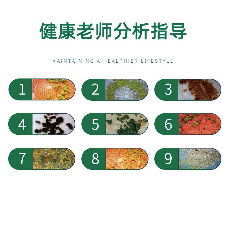 Taiwan Fruit & Vegetable Enzyme Powder Set (Fermented Plant Blend) — Daily Wellness Drink Mix - Image 4