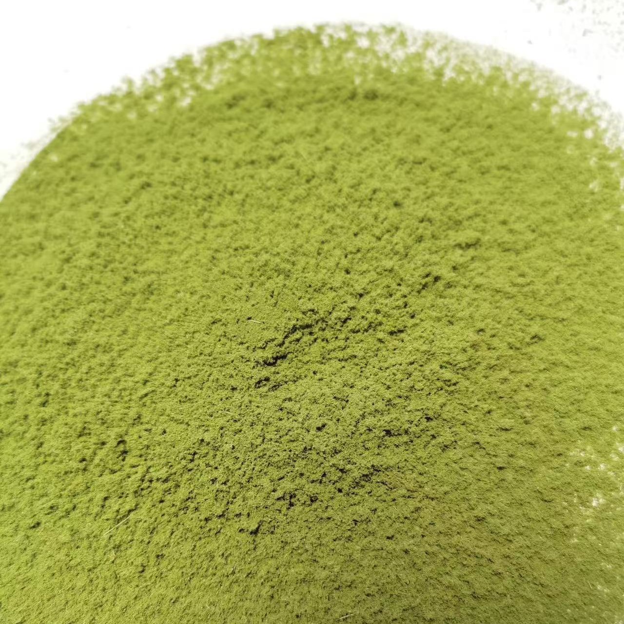 Pine Needle Powder Song Zhen Fen 500g Fine Ground Masson Pine Herbal Tea Sugar Free - Image 4