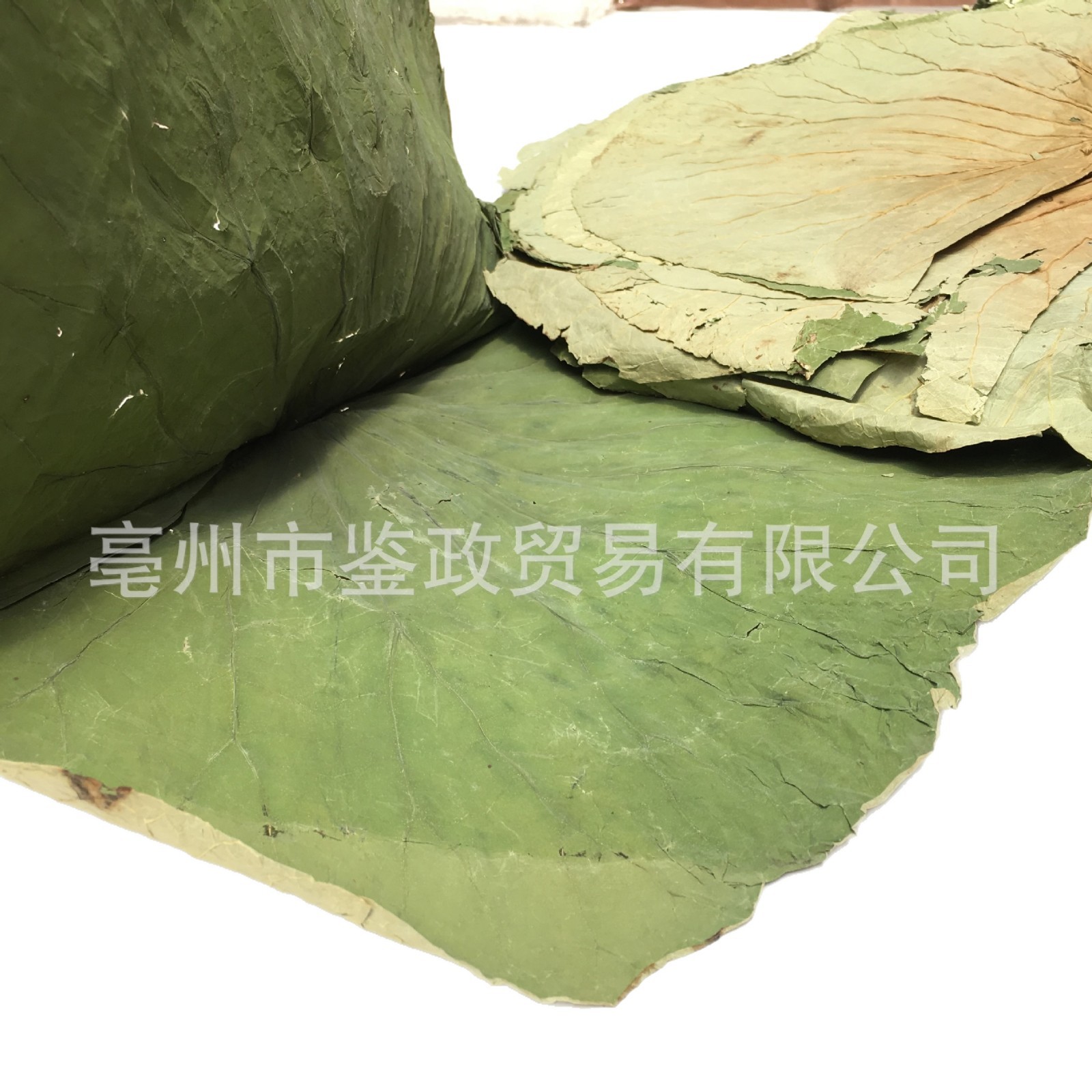 Whole Dried Lotus Leaf He Ye 500g Bag for Cooking Wrapping and Herbal Tea - Image 5