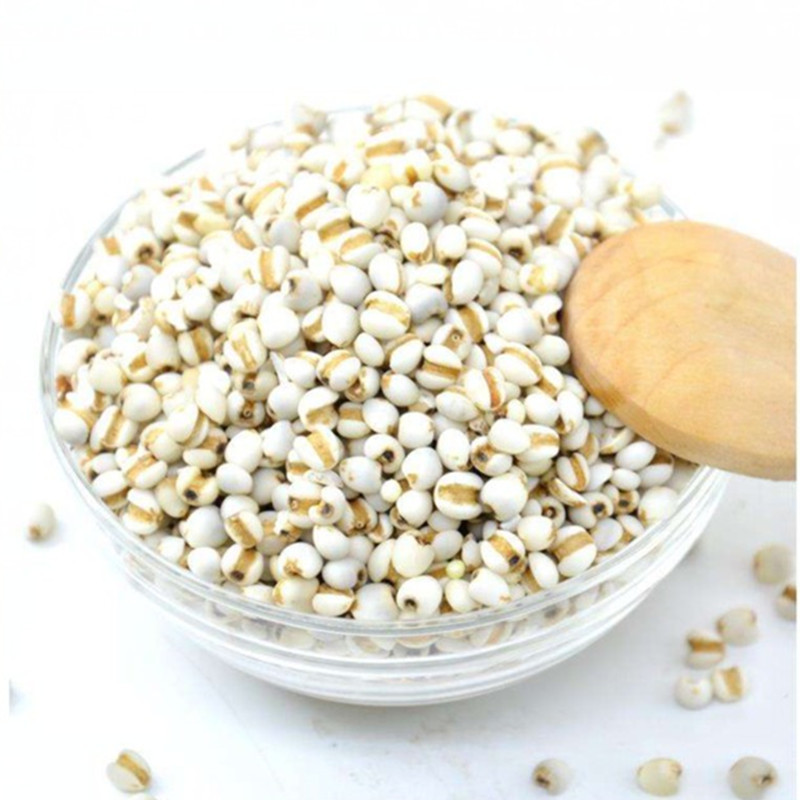 Coix Seed (Coix lacryma-jobi) — Guizhou Yi Mi Ren, Roasted Ready-to-Eat Job's Tears - Image 4