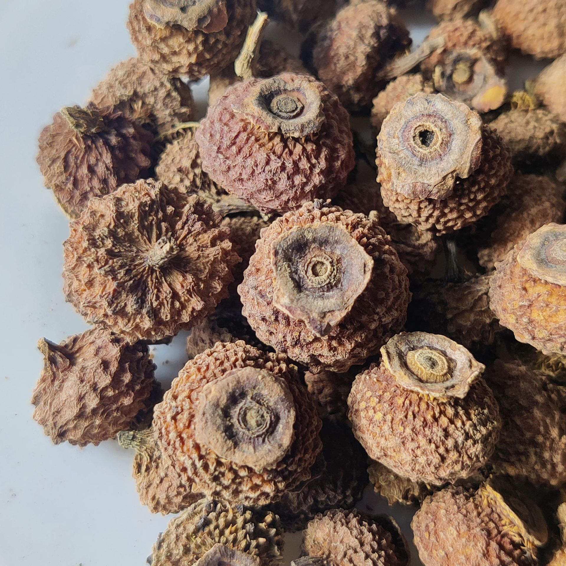 Dried Rosa Roxburghii Fruit Tea 500g Cili Guizhou Herbal Infusion for Daily Brewing - Image 4