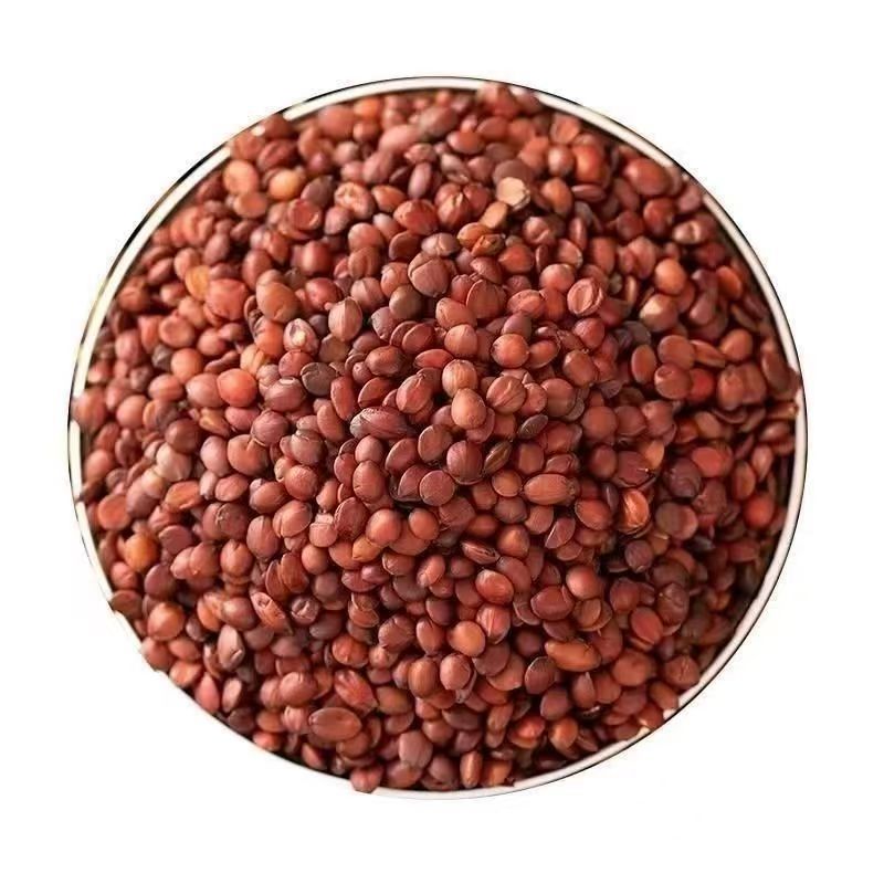 Stir-Fried Sour Jujube Seed Suan Zao Ren 500g Dried Ziziphus Seed for Herbal Decoction and Tea - Image 5