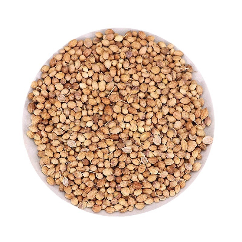 Coriander Seeds (Coriandrum sativum) — Whole & Ground Culinary Spice, 500g - Image 5