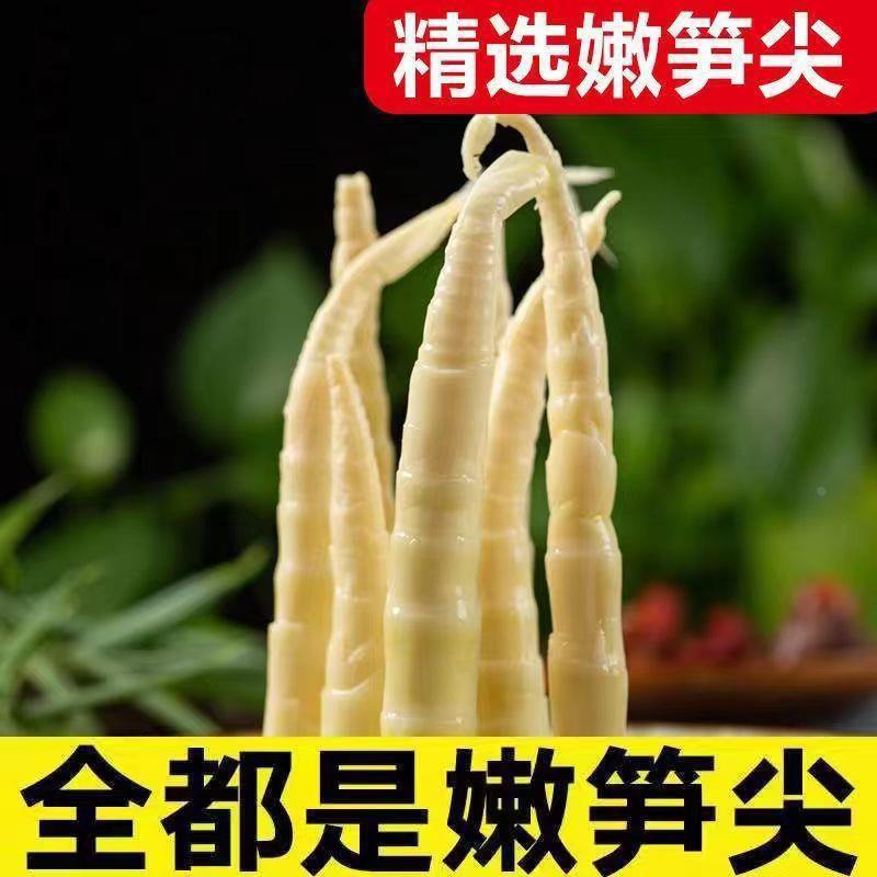 Fresh Bamboo Shoot Tips Peeled Ready to Cook Hot Pot Bamboo Shoots 500g x 10 Packs - Image 2