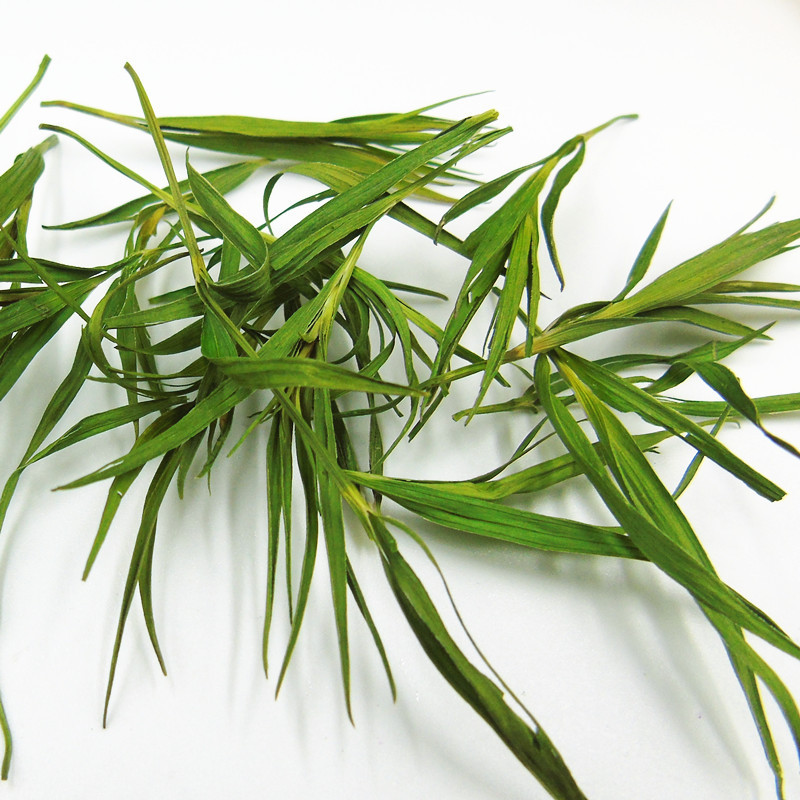 Bamboo Leaf Tea (Lophatherum gracile / Phyllostachys) — Dried Herbal Leaf Tea, 500g - Image 4