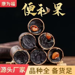 Purging Cassia Fruit (Cassia fistula) — Dried Food-Herb Pod for Traditional Wellness Tea