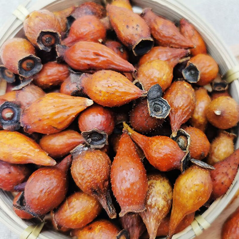 Dried Cherokee Rose Fruit Jin Ying Zi 500g Whole Rosa laevigata Fruit for Herbal Tea and Wine Infusion - Image 4
