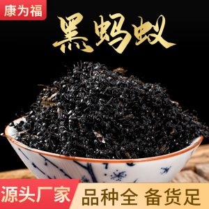 Black Ant Powder (Polyrhachis / Formica) — Dried Food-Use Ant Ingredient for Wine Soaking & Herbal Blends