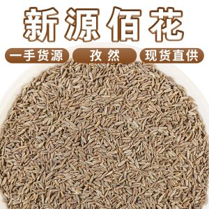 Cumin Seeds (Cuminum cyminum) — Xinjiang Whole Cumin for BBQ & Spice Blends