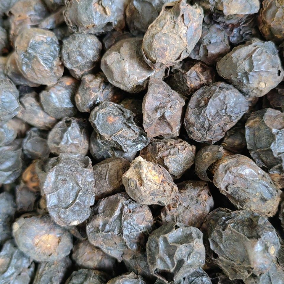 Guang Zao (Choerospondias axillaris) — Dried Wild Jujube Fruit for Tea & Soup - Image 2