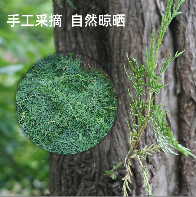 Cebai Ye Powder 100g Oriental Arborvitae Leaf Herbal Powder for Hair Care and Scalp Rinses - Image 4