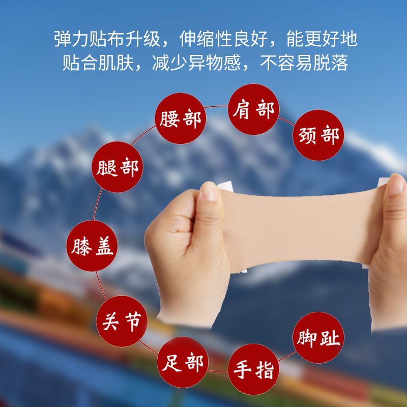Tibetan Herbal Pain Relief Essential Oil Patch for Neck Shoulder and Lumbar Self Heating 6 Patches per Box - Image 2