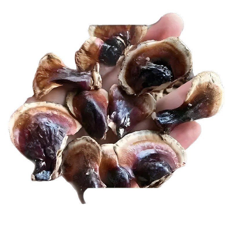 Dried Gold-Banded Reishi Mushroom Slices 200g Fragrant Mild for Soup Tea and Wine Soak - Image 5