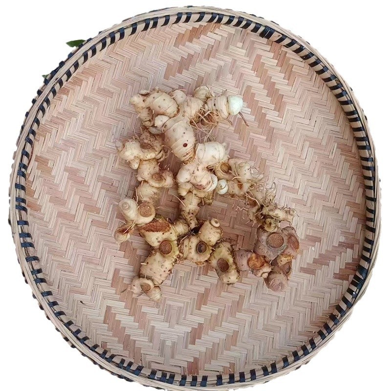 Wild Polygonatum Rhizome Huang Jing 1500g Whole Root for Soup and Herbal Wine - Image 5