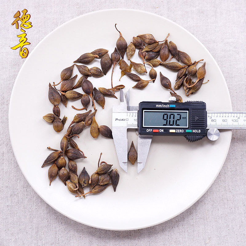 Dried Forsythia Fruit Lian Qiao 500g Bulk Water Processed Decoction Herb - Image 4