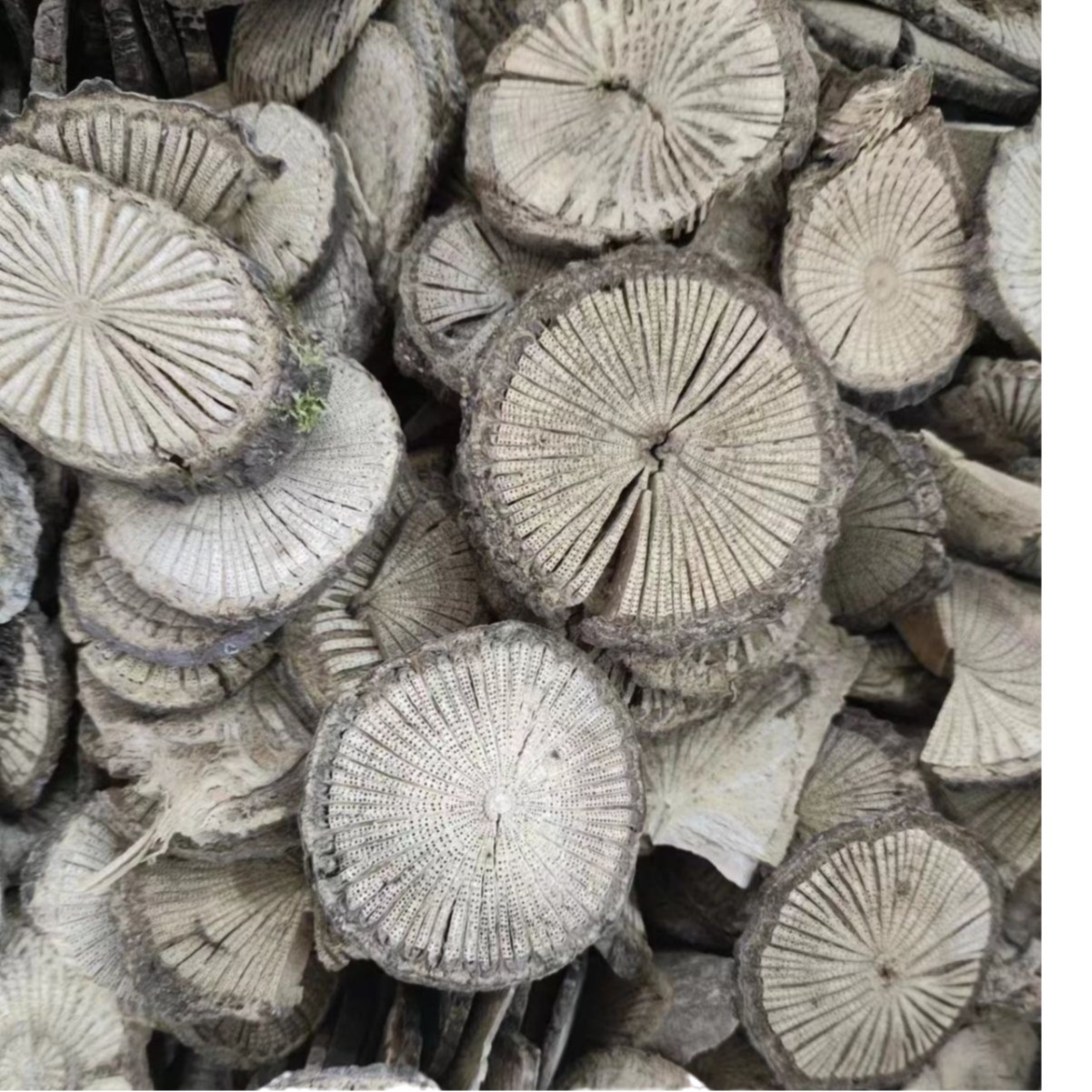 Qing Feng Teng (Sinomenium acutum) — Dried Herbal Stem for Decoction & Tea, 500g - Image 5