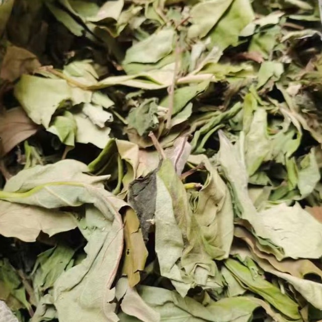 Dried Persimmon Leaves Shi Ye 500g Natural Whole Leaf Herbal Tea Material - Image 3