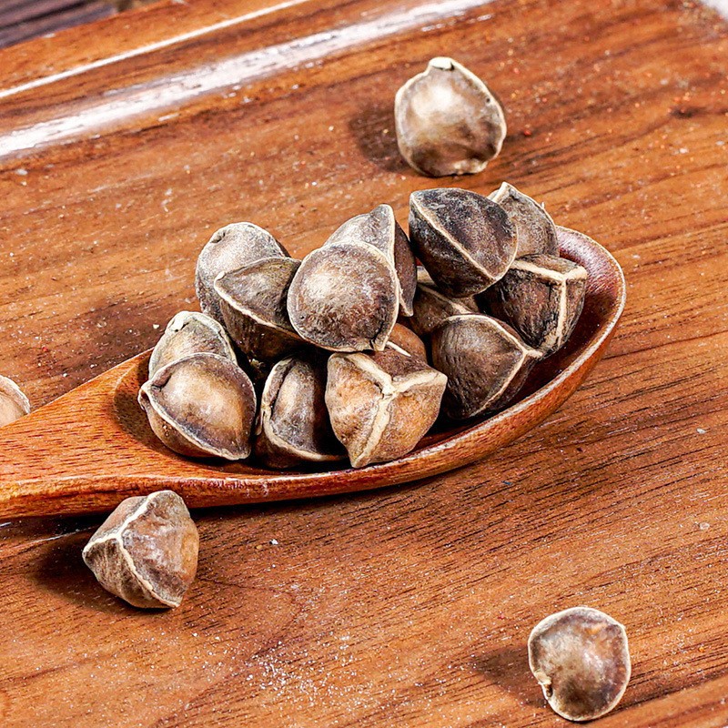 Moringa Seeds La Mu Zi 500g Yunnan Selected Large Edible Seeds - Image 3