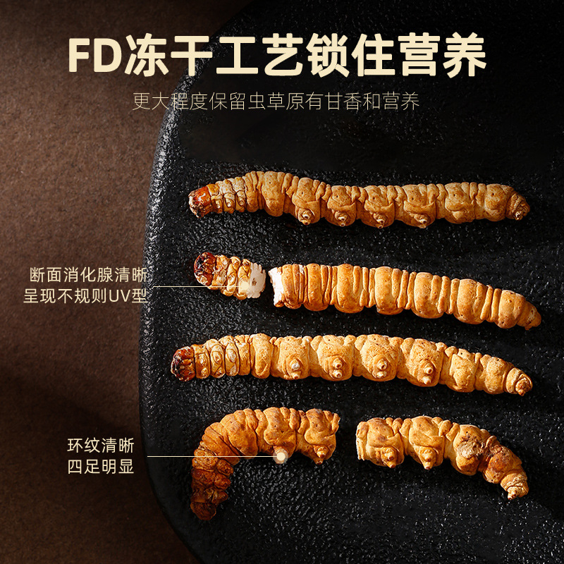 Dried Cordyceps Sinensis Broken Stems 10g Jar Qinghai Origin Whole Dried Cordyceps for Cooking - Image 5