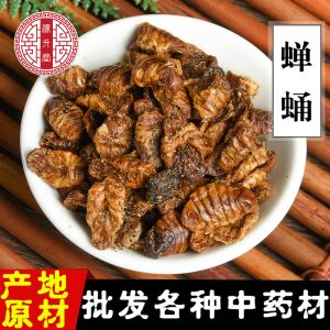 Dried Silkworm Chrysalis (Bombyx mori) — Edible Food-Use Dried Silkworm Pupa, 500g Bulk