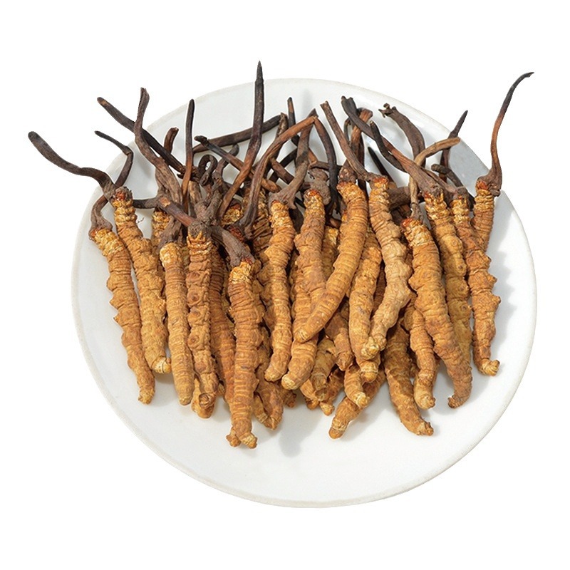 Cordyceps Sinensis Dong Chong Xia Cao Dried Whole Caterpillar Fungus Tibet Nagqu First Harvest Gift Box - Image 5
