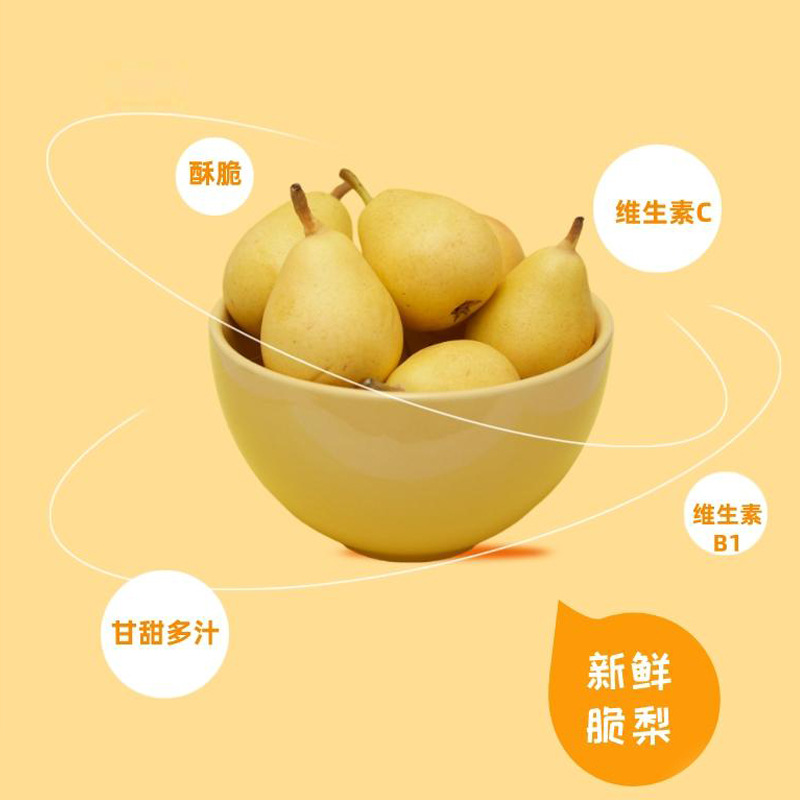 Loquat Autumn Pear Paste Pi Pa Qiu Li Gao 210g Barrel with 21 Stick Packs Ready to Drink Herbal Syrup - Image 2