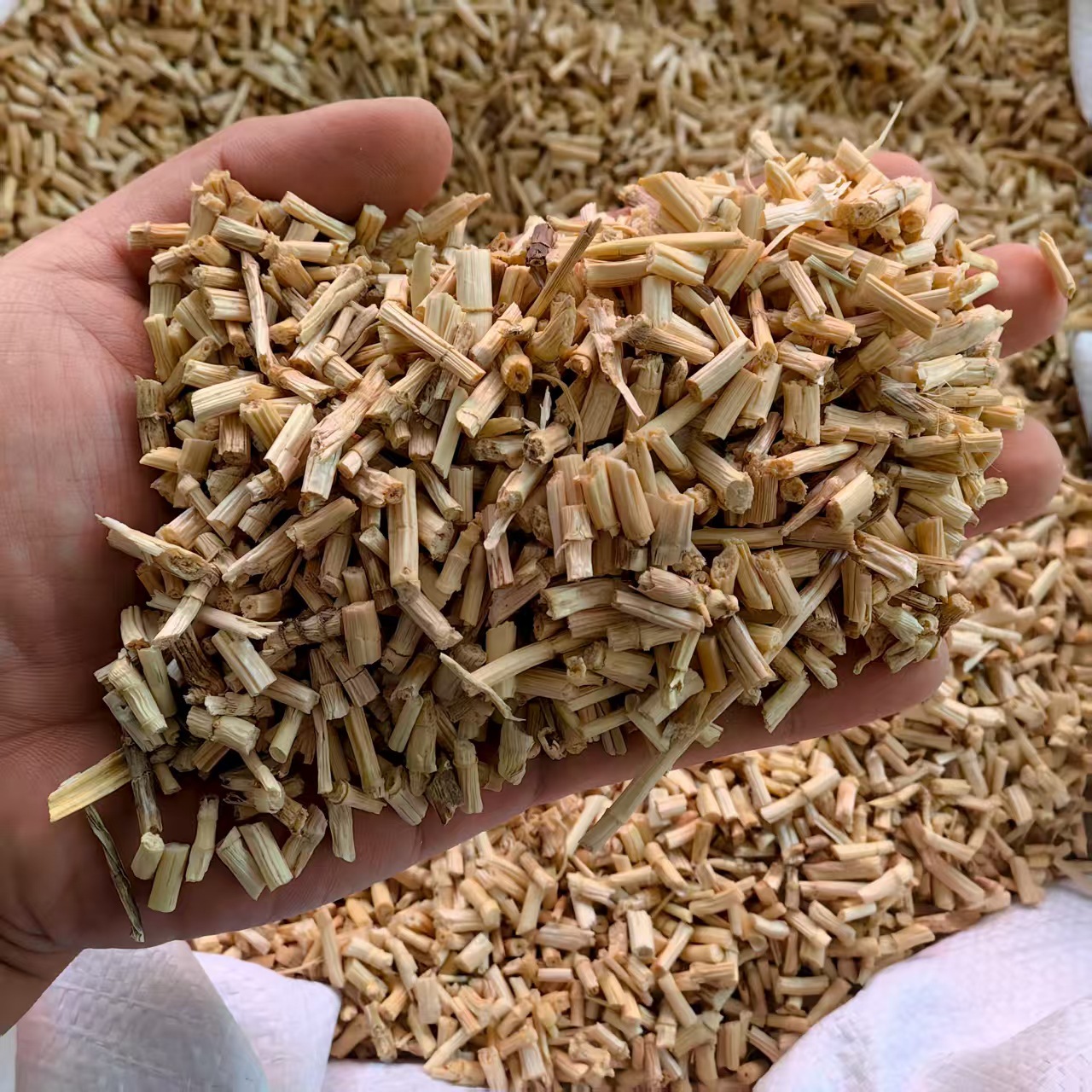 Dried Cogon Grass Root Bai Mao Gen 500g Natural Sun Dried Herb for Decoction and Herbal Tea - Image 2
