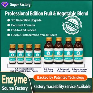 Taiwan-Style Fruit & Vegetable Enzyme Powder (果蔬酵素) — Fermented Solid Beverage Blend