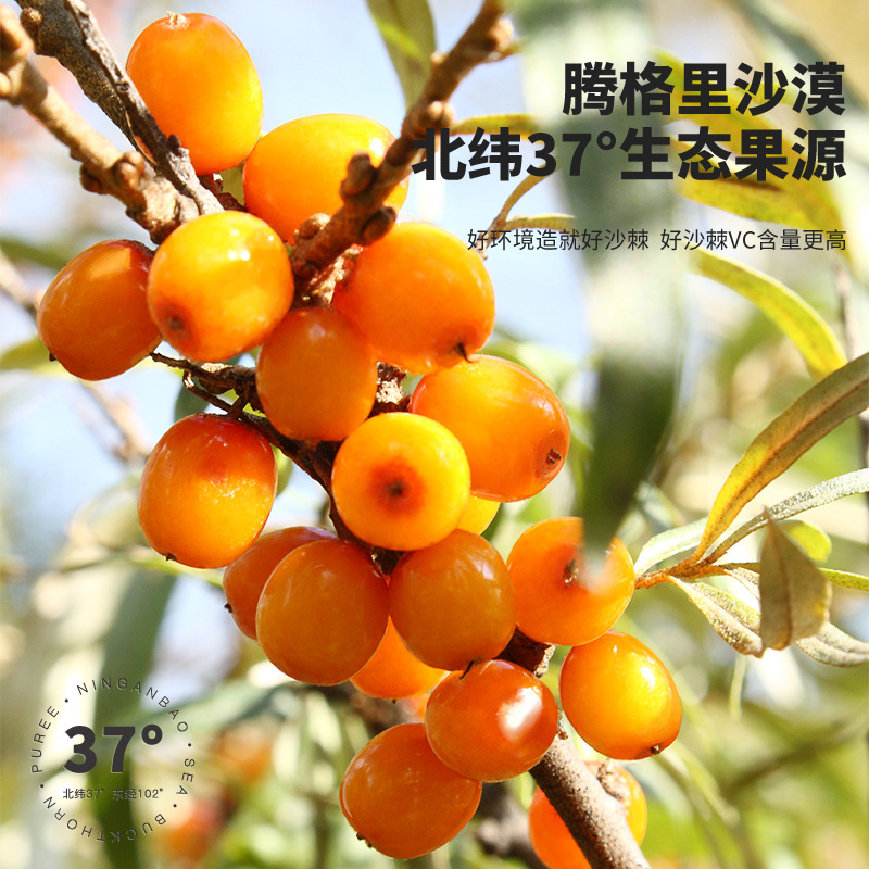 Goji Sea Buckthorn Juice Blend 30ml Sachets Ningxia Cold Pressed Herbal Drink - Image 4
