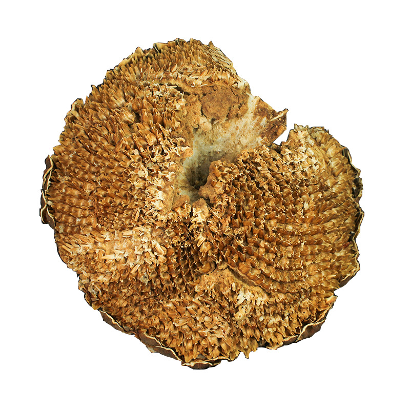 Dried Sunflower Disc Kui Hua Pan Helianthus annuus Whole Flower Head Traditional Herbal Ingredient 500g - Image 5