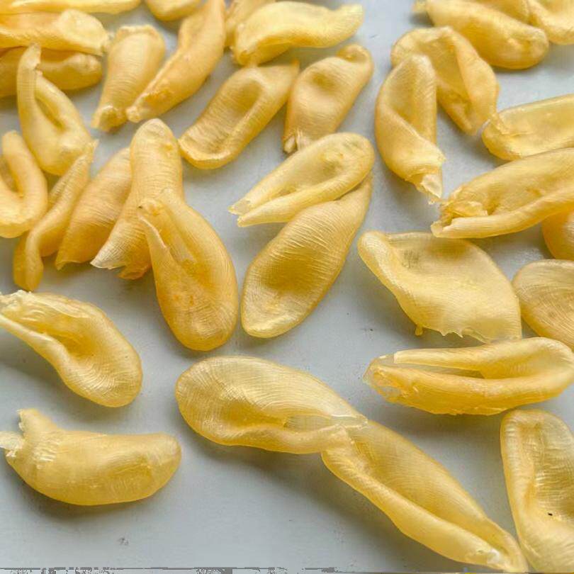 Pearl Fish Maw Zhen Zhu Jiao Dried Fish Bladder Thick Cut Collagen Rich Soup Ingredient 500g - Image 3