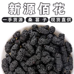 Mulberry Fruit (Morus alba) — Dried Black Mulberry, Food-Herb Snack & Tea Ingredient