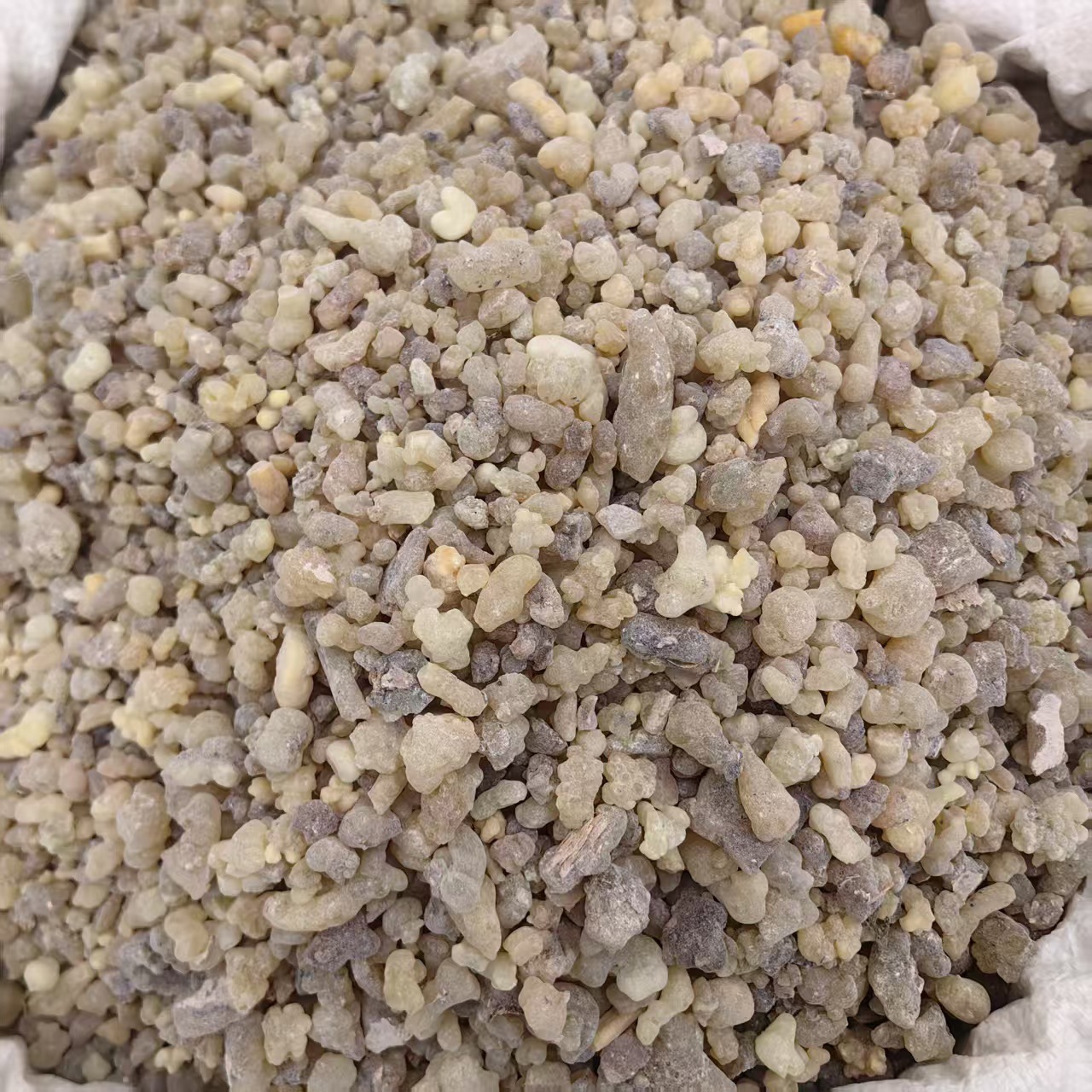 Frankincense Resin Ru Xiang Raw Herb Incense and Traditional Use 500g - Image 4