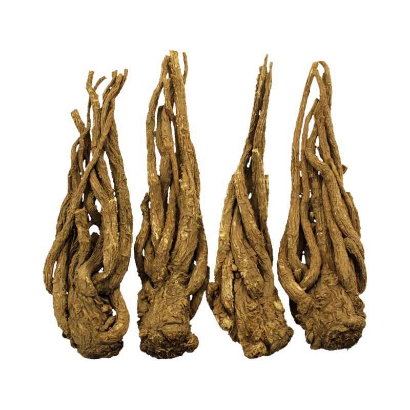 Premium Dang Gui Head Slices Chinese Angelica Root Tea Grade 50g 250g 500g Minxian Gansu - Image 5