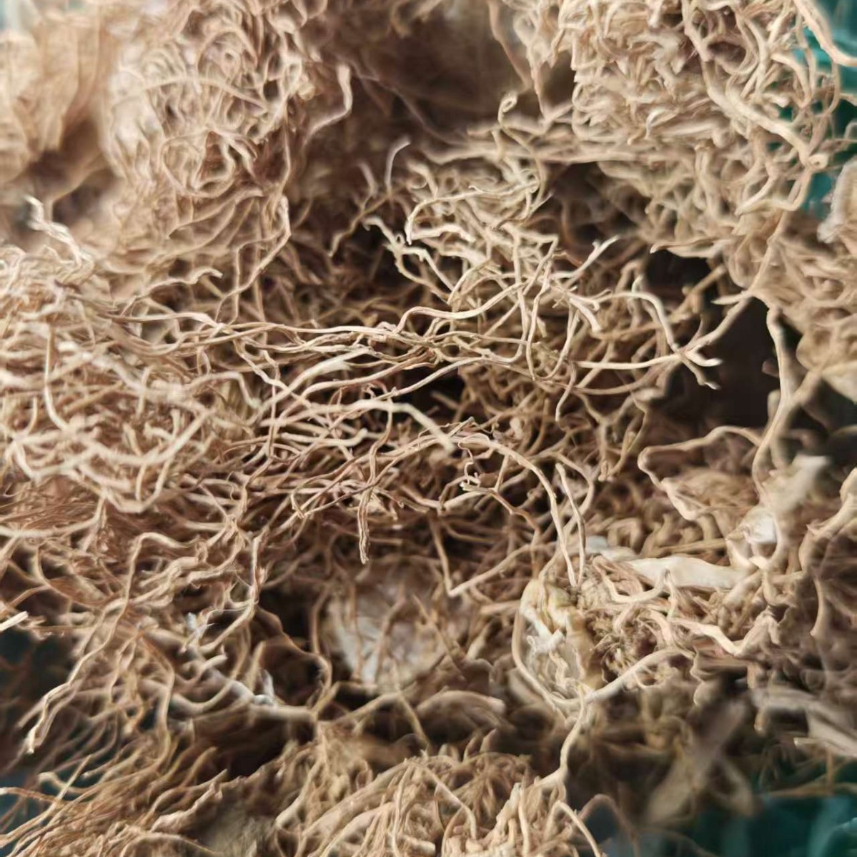 Scallion Root & Scallion White (Allium fistulosum) — Dried Culinary Herb for Cooking & Soup - Image 3